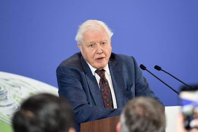 David Attenborough takes the top spot with 17 percent of votes from a pick of 30  celebrities