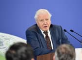 David Attenborough takes the top spot with 17 percent of votes from a pick of 30  celebrities