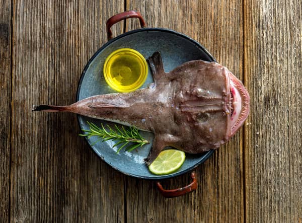 Monkfish: Is the perfect example of why you shouldn’t judge a book by its cover! Monkfish is a particularly strange looking fish but is a fine-dining favourite
