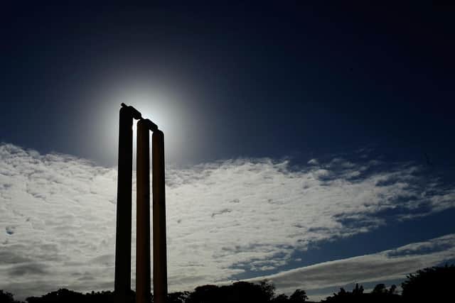 Cricket. Photo: Getty Images