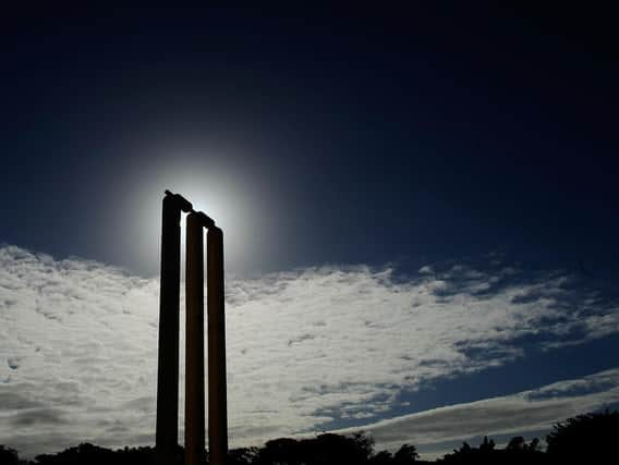 Cricket. Photo: Getty Images