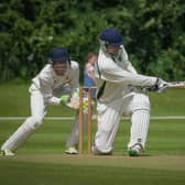 Cricket returns to the Mayflower this weekend.