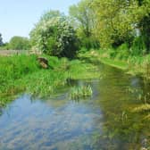 The River Slea, west of the town, would see improvements to the footpath as part of the Blue/Green Corridor Project. EMN-210419-181046001