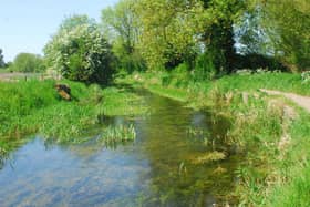 The River Slea, west of the town, would see improvements to the footpath as part of the Blue/Green Corridor Project. EMN-210419-181046001