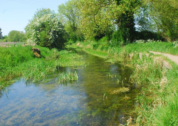 The River Slea, west of the town, would see improvements to the footpath as part of the Blue/Green Corridor Project. EMN-210419-181046001