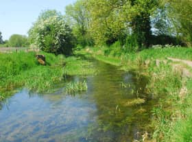 The River Slea, west of the town, would see improvements to the footpath as part of the Blue/Green Corridor Project. EMN-210419-181046001