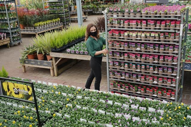 One of Dobbies' other stores. Picture: Stewart Attwood Photography 2021.
