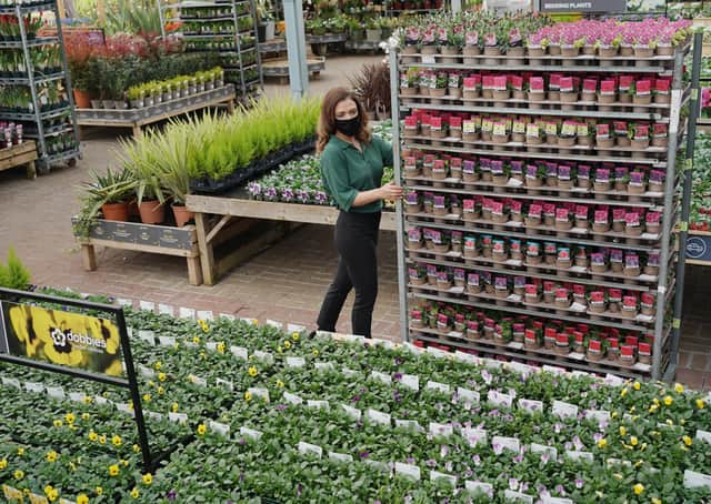 One of Dobbies' other stores. Picture: Stewart Attwood Photography 2021.