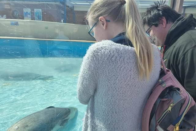 Visitors enjoying watching the seals in the main pool.