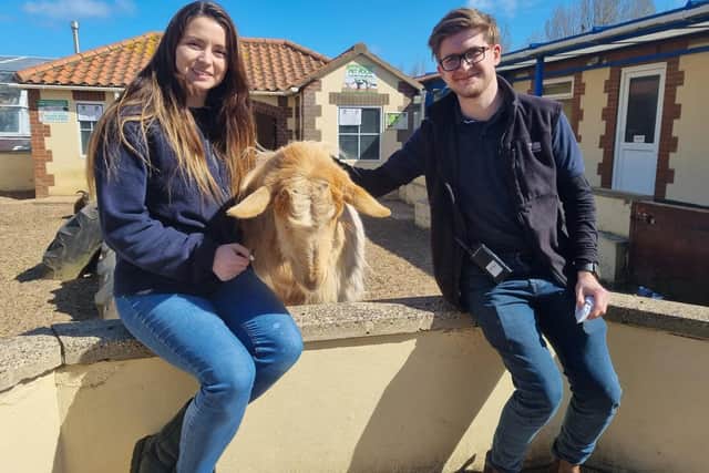 Daisy and Matt Yeadon are glad to welcome visitors back - and so is Henry the goat, especially if you have food.