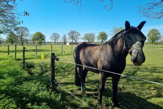 Residents have a public footpath nearby that takes them through fields of horses.