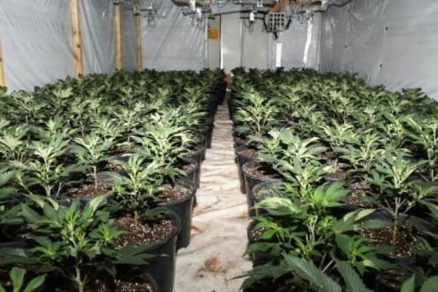 Inside the factory - the latest police discovery of a £6m cannabis grow in Frampton. EMN-210427-171700001