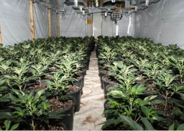 Inside the factory - the latest police discovery of a £6m cannabis grow in Frampton. EMN-210427-171700001