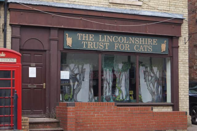 Now: The Lincolnshire Trust for Cats shop