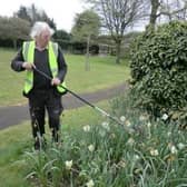 Councillor Burbidge volunteering in Hamerton Gardens