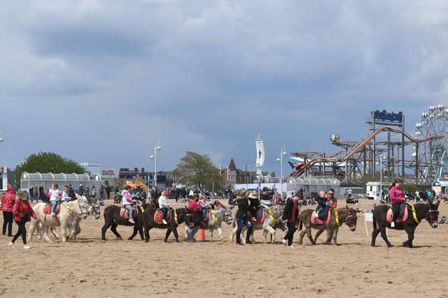 Something we could only have dreamed of a year ago - donkeys back on Skegness beach.