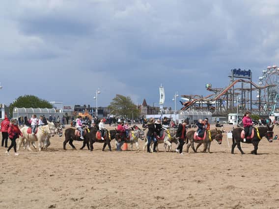 Something we could only have dreamed of a year ago - donkeys back on Skegness beach.