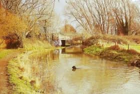 A photo by Sarah Duffy that has made it into the commemorative book. EMN-211005-133825001