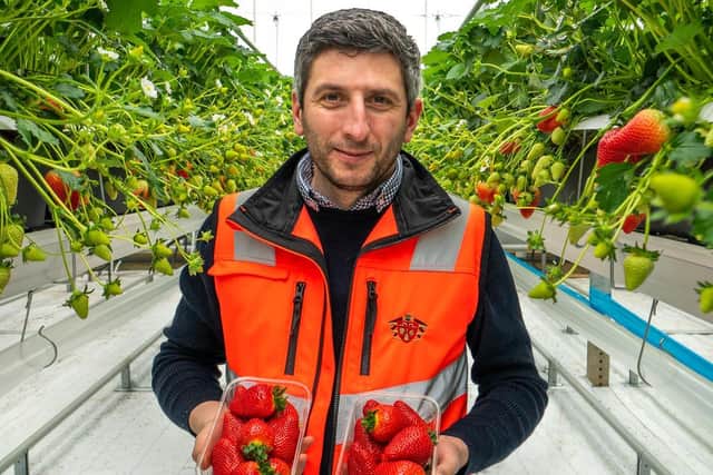 Angel Angelov of Dyson Farming's new glasshouse in Carrington.