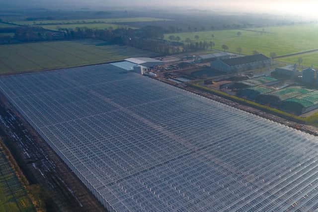 Dyson Farming's new 15 acre glasshouse.