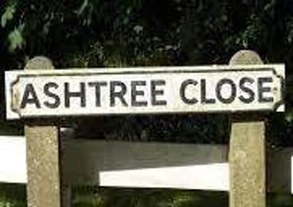 Too many streets have tree names