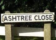 Yes, you can have too many trees within a town ...according to Rasen councillors - Vimarsana News