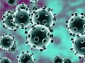 Coronavirus stock image