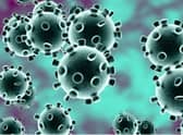 Coronavirus