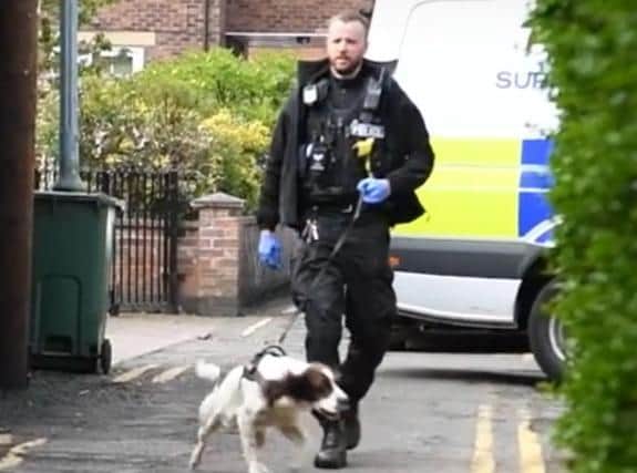 Police dog units were involved in the raids