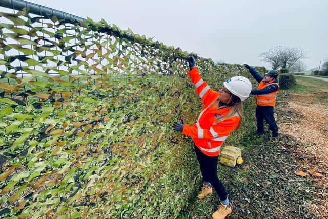 A section of the comourflaged fencing desiged to help bats navigate their surroundings.