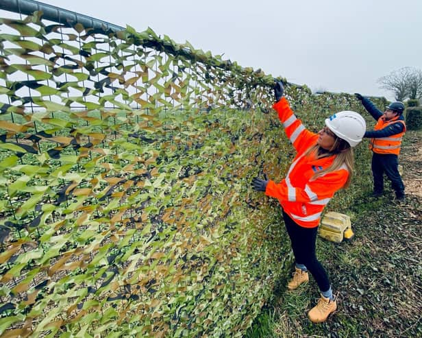 A section of the comourflaged fencing desiged to help bats navigate their surroundings.