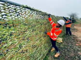 A section of the comourflaged fencing desiged to help bats navigate their surroundings.