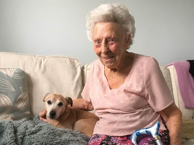 Dogs Trust found almost half of people looking to adopt were searching for a dog under the age of six months.