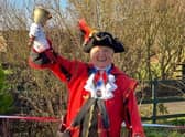 Town Crier, David Summers