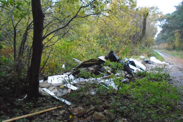 The scene of the fly-tipping at Stapleford Wood. Photo: NKDC