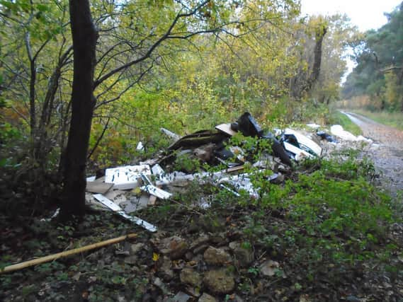 The scene of the fly-tipping at Stapleford Wood. Photo: NKDC