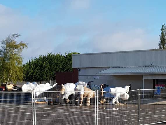 Dinosaurs being stored in Skegness ahead of being installed at the former Model Village site in Skegness.