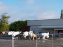 Dinosaurs being stored in Skegness ahead of being installed at the former Model Village site in Skegness.