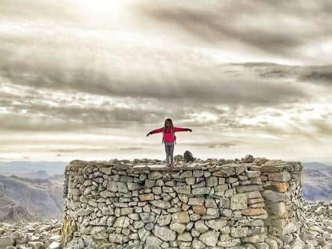 Willow at the summit