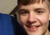 Roberts Buncis