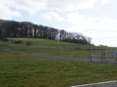 Hamilton Hill EMN-210528-131946001