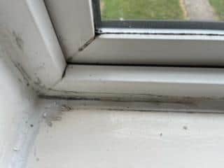 Damp in a property in Skegness.
