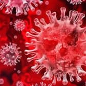 Coronavirus     (stock image)