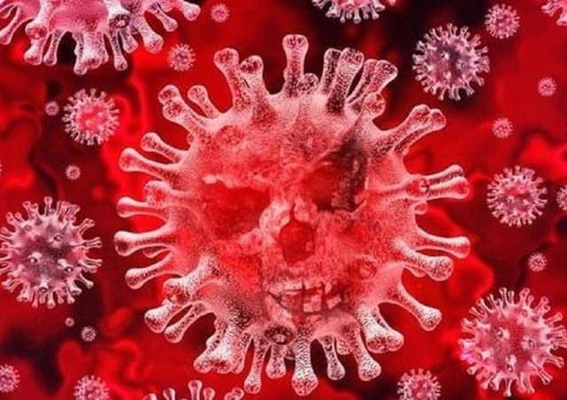 Coronavirus (stock image)