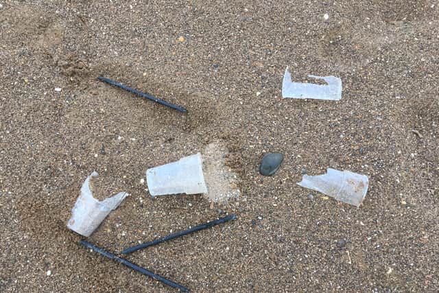 Examples of litter found on the beach.