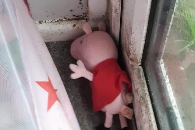 Pepper Pig had to be thrown out after being discovered behind a curtain on a windowsill covered in black mould in the property in Horncastle .