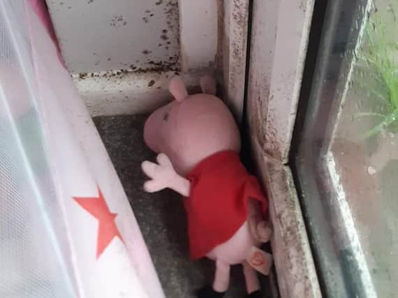 Pepper Pig had to be thrown out after being discovered behind a curtain on a windowsill covered in black mould in the property in Horncastle .