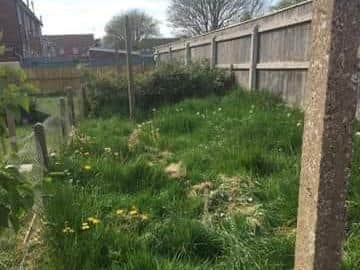 The overgrown garden at the first property offered in Skegness.