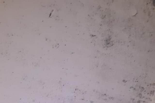 Damp on the walls in Horncastle.