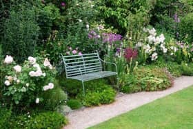 An open garden event is being held on Sunday at Great hale for the National Garden Scheme.